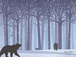 Winter Forest